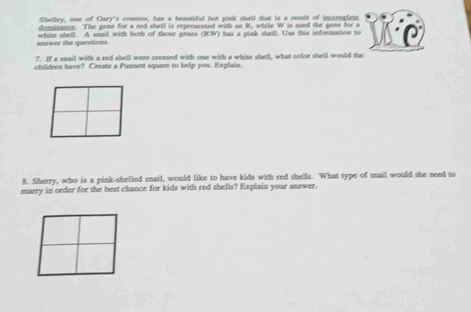 shelley, one of gary’s cousins, has a beautiful hot pink shell that is …