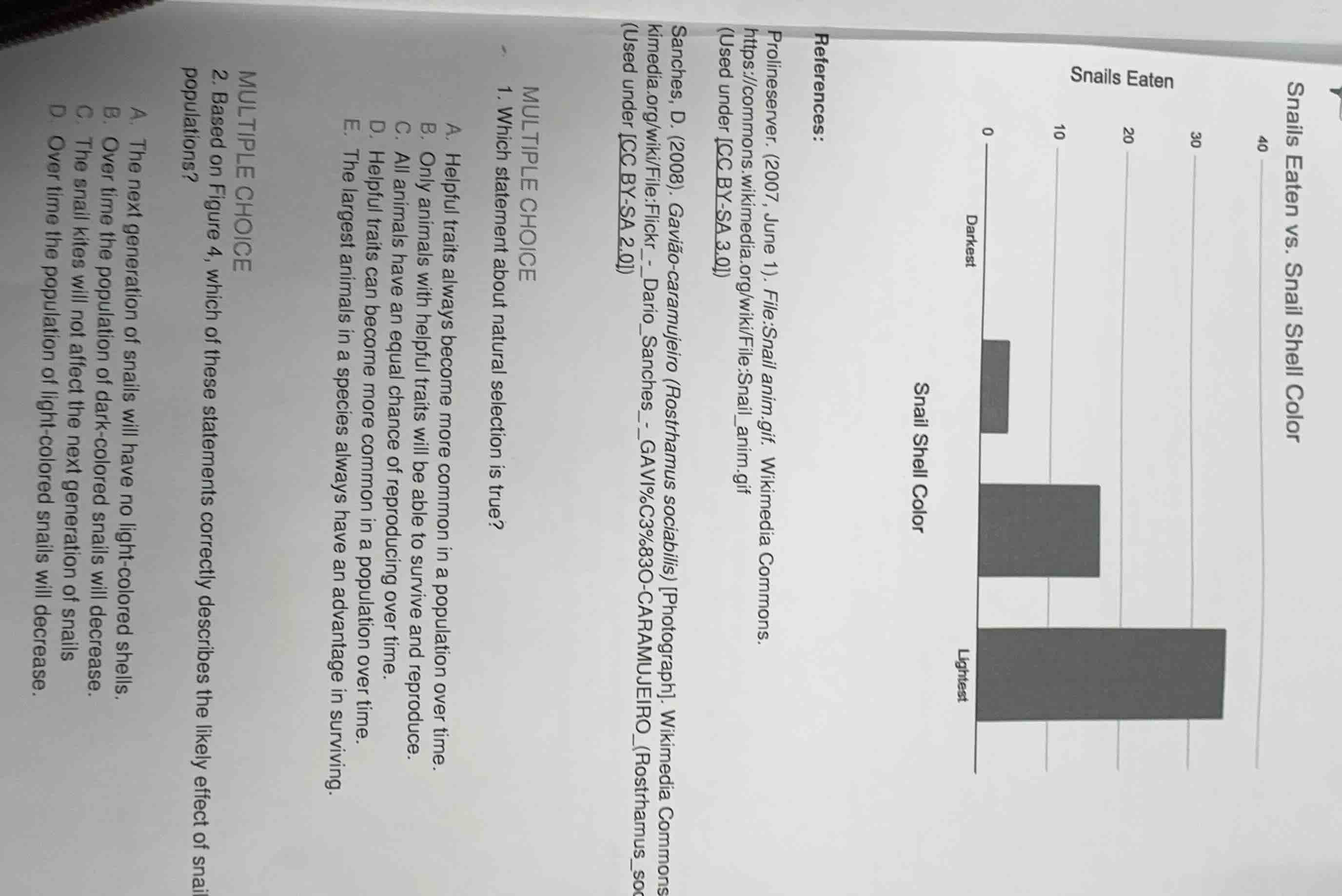 snails eaten vs. snail shell color snails eaten references: prolineserv…