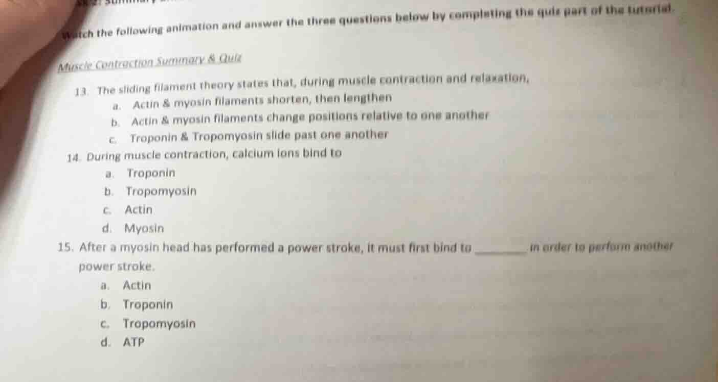 watch the following animation and answer the three questions below by c…