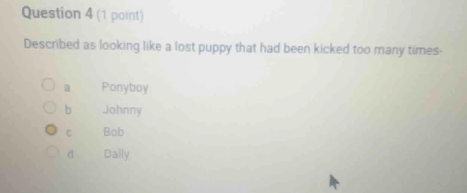 question 4 (1 point) described as looking like a lost puppy that had be…