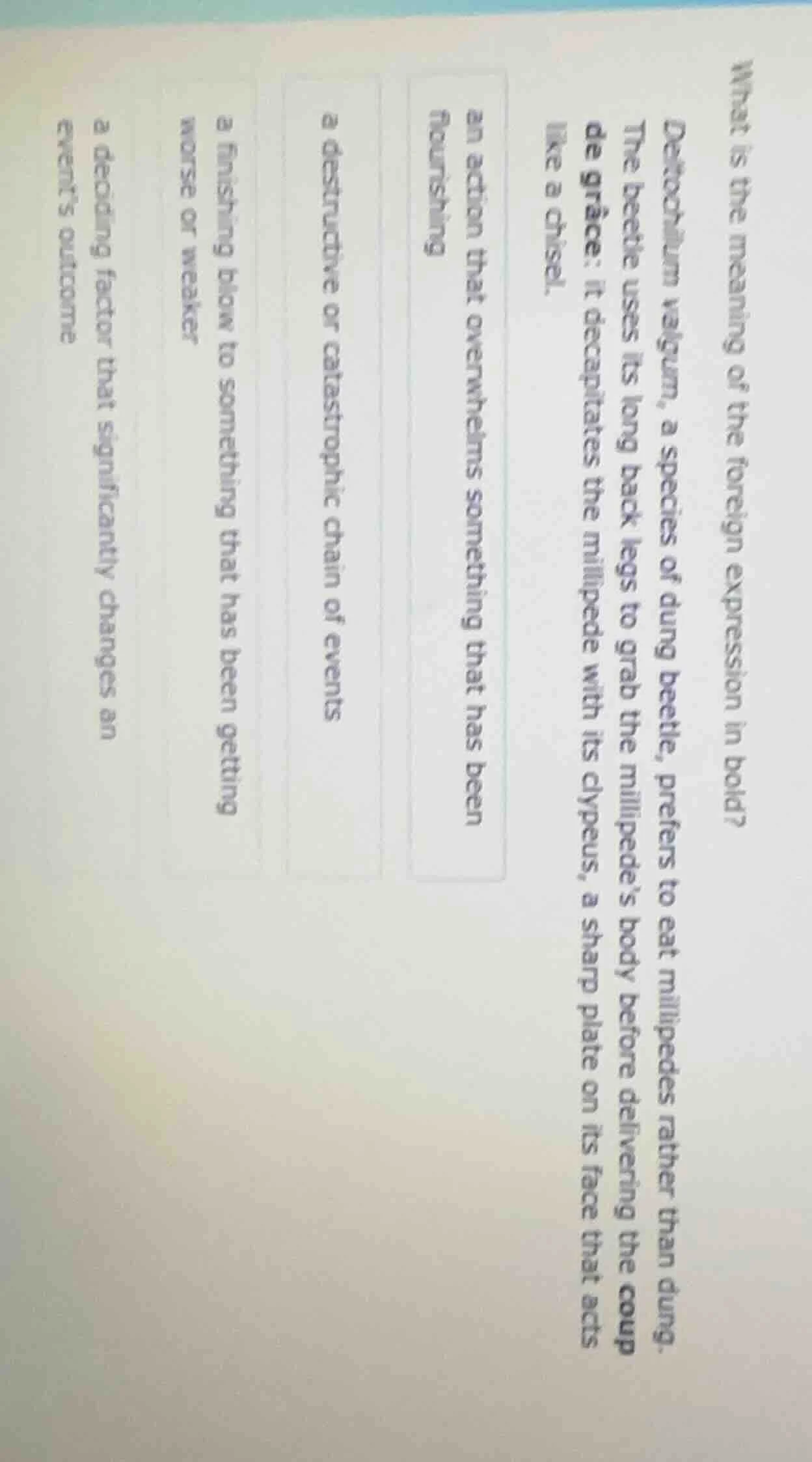 what is the meaning of the foreign expression in bold? deltochilum valg…