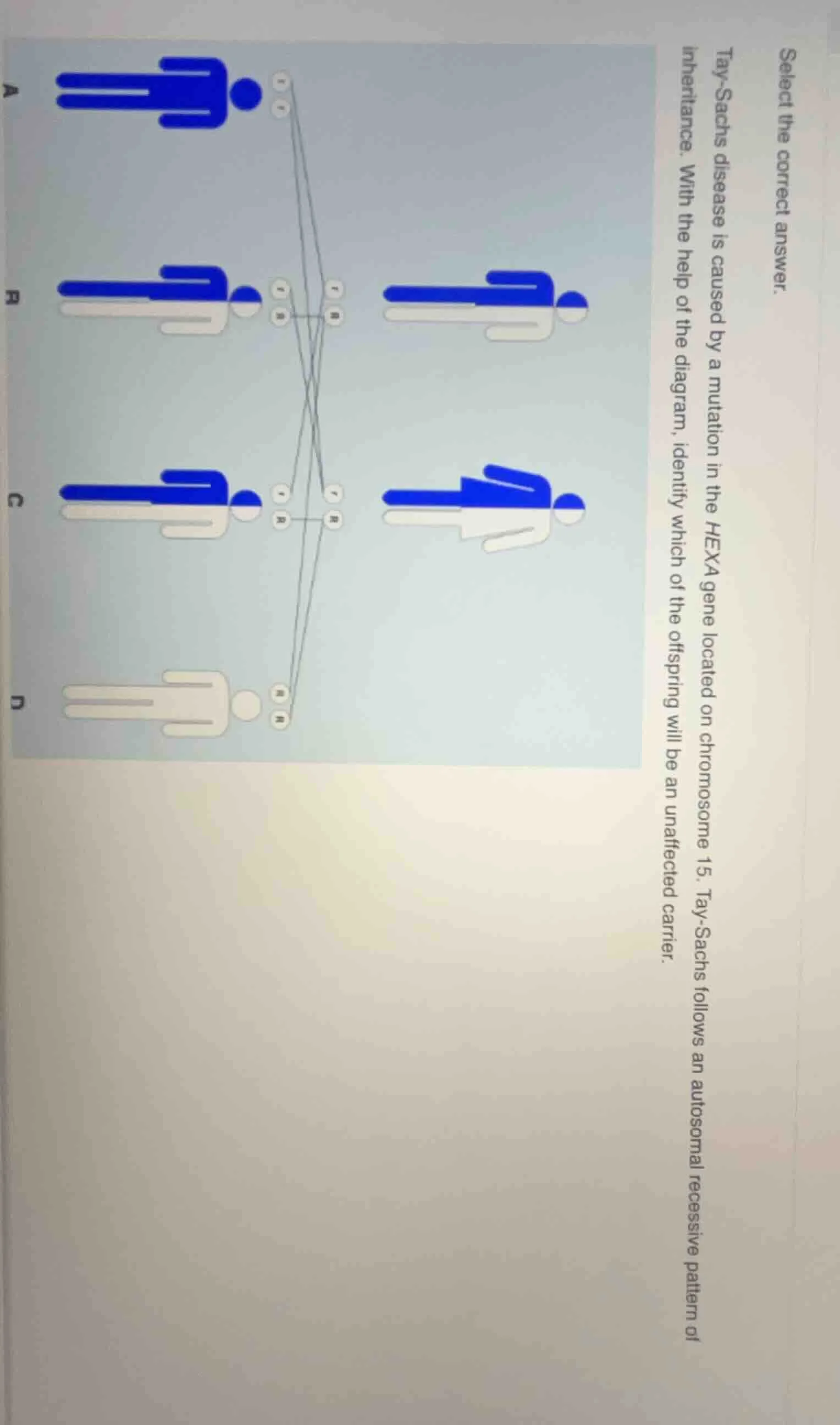 select the correct answer. tay - sachs disease is caused by a mutation …