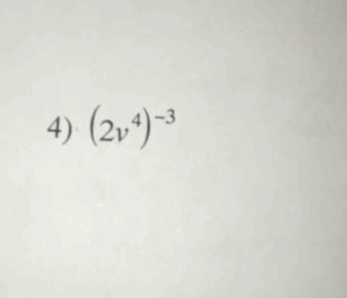 4) (2v⁴)⁻³