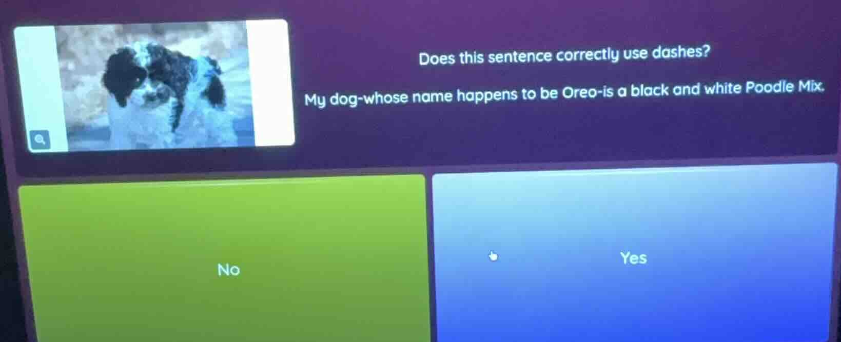 does this sentence correctly use dashes? my dog-whose name happens to b…