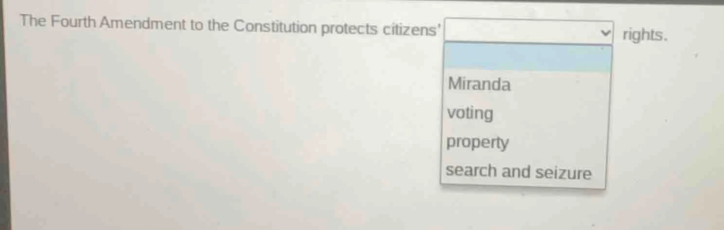 the fourth amendment to the constitution protects citizens rights. opti…