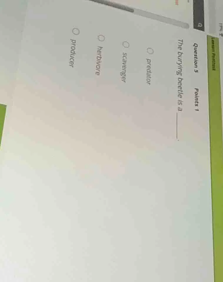 question 5 points 1 the burying beetle is a ______. options: predator s…