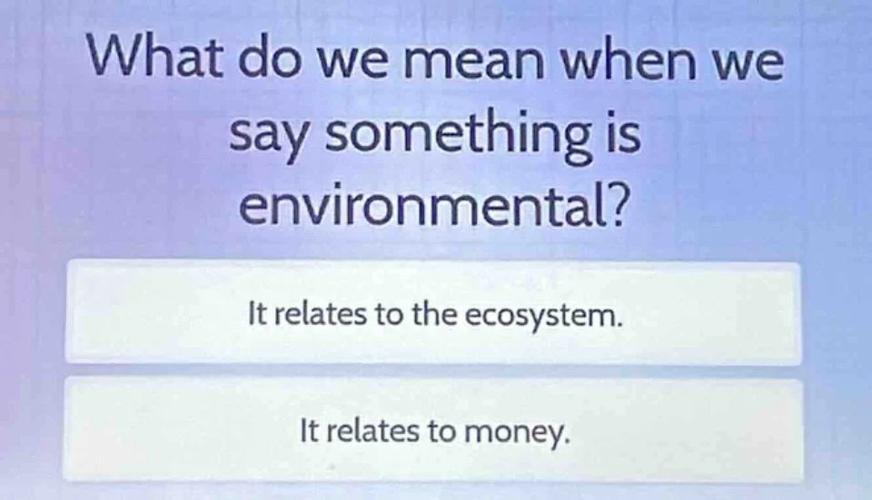 what do we mean when we say something is environmental? it relates to t…