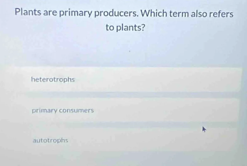 plants are primary producers. which term also refers to plants? heterot…