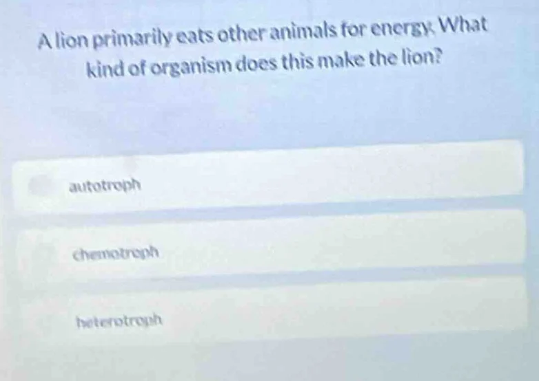 a lion primarily eats other animals for energy. what kind of organism d…