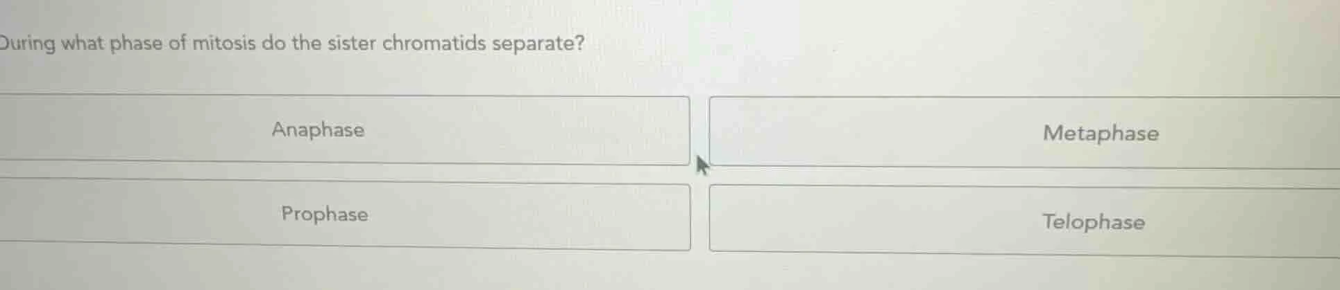 during what phase of mitosis do the sister chromatids separate? anaphas…