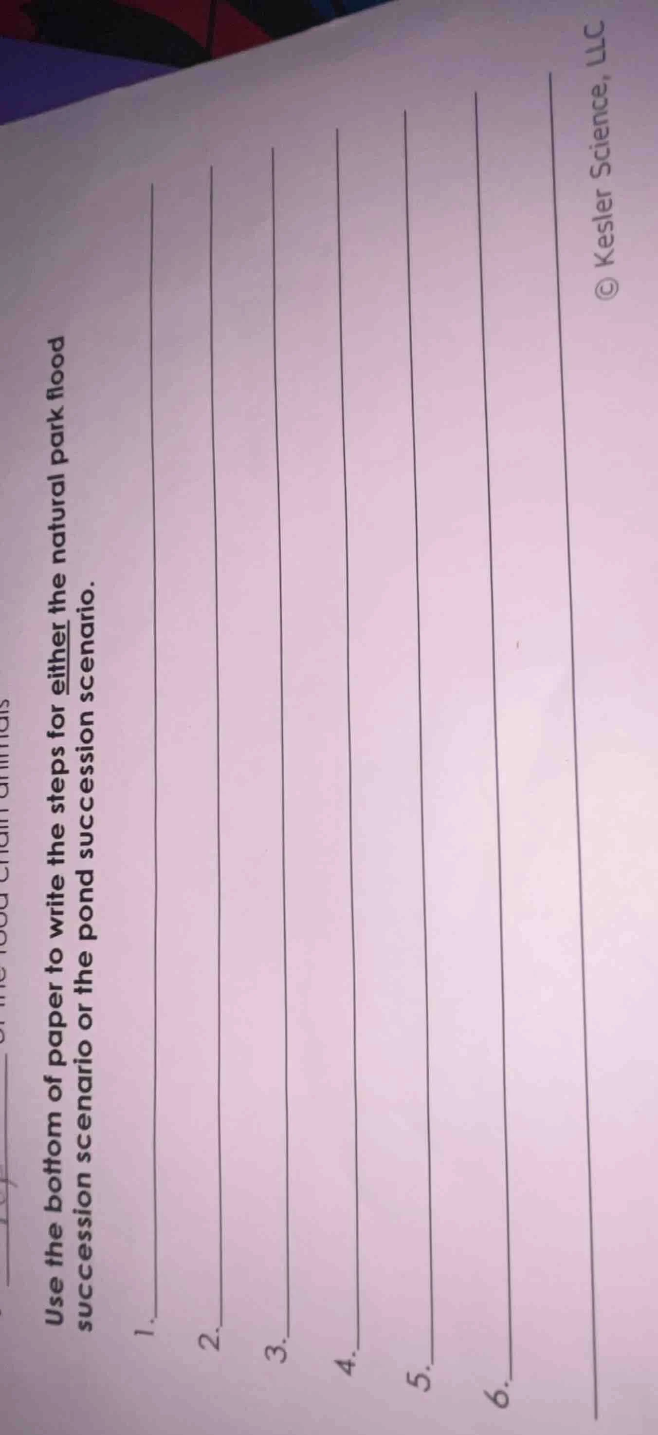 use the bottom of paper to write the steps for either the natural park …
