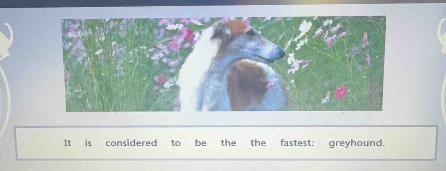 it is considered to be the the fastest: greyhound.