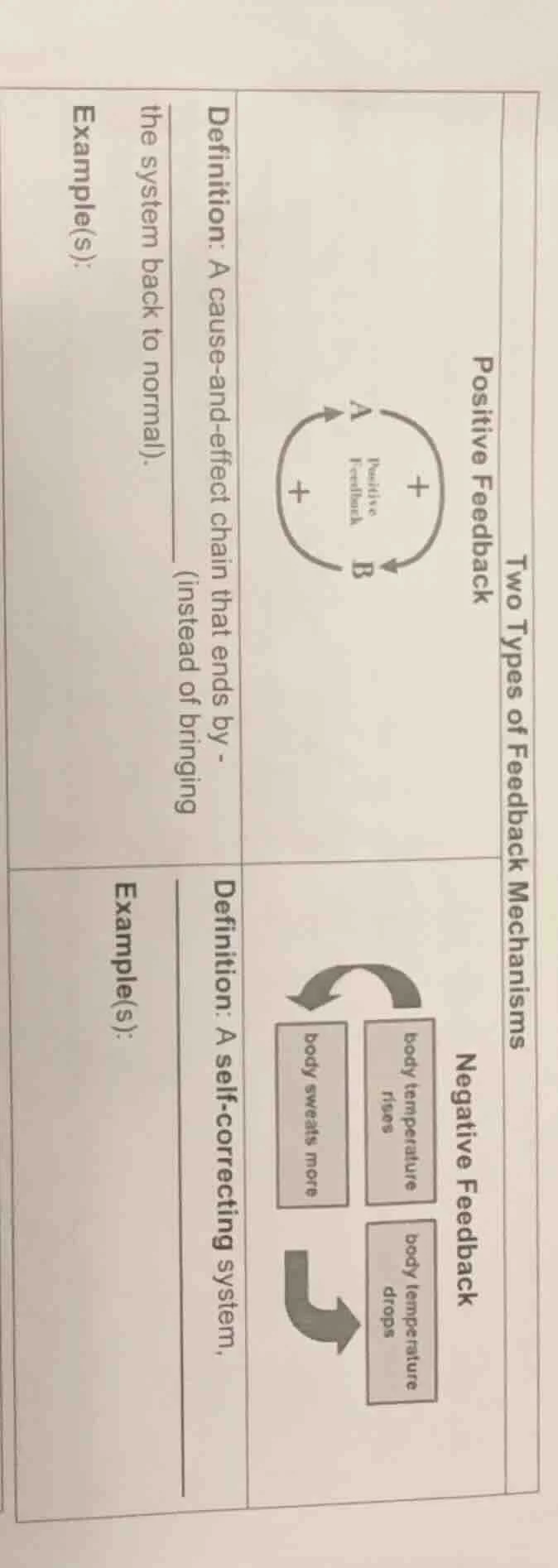 two types of feedback mechanisms positive feedback definition: a cause …