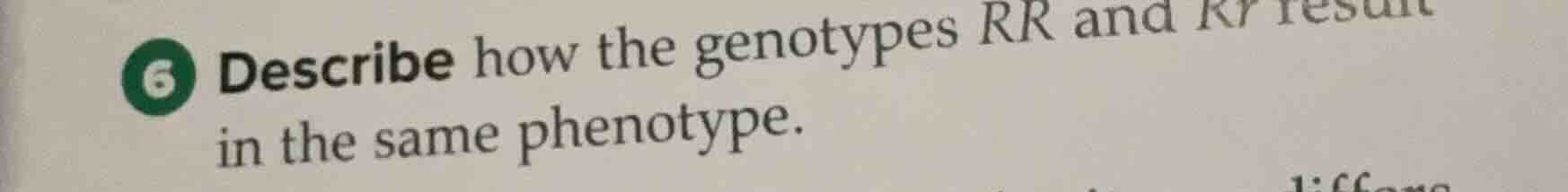 6 describe how the genotypes rr and rr result in the same phenotype.