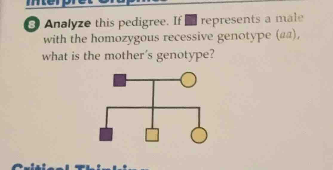 8 analyze this pedigree. if ▣ represents a male with the homozygous rec…