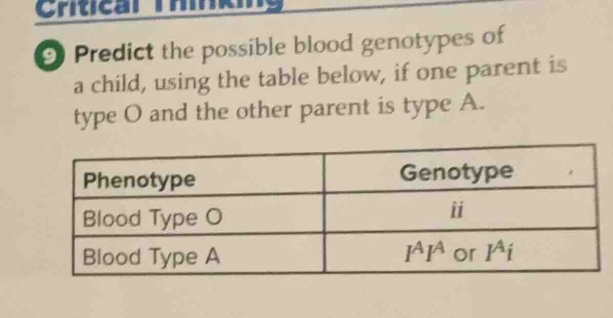 critical thinking 9 predict the possible blood genotypes of a child, us…