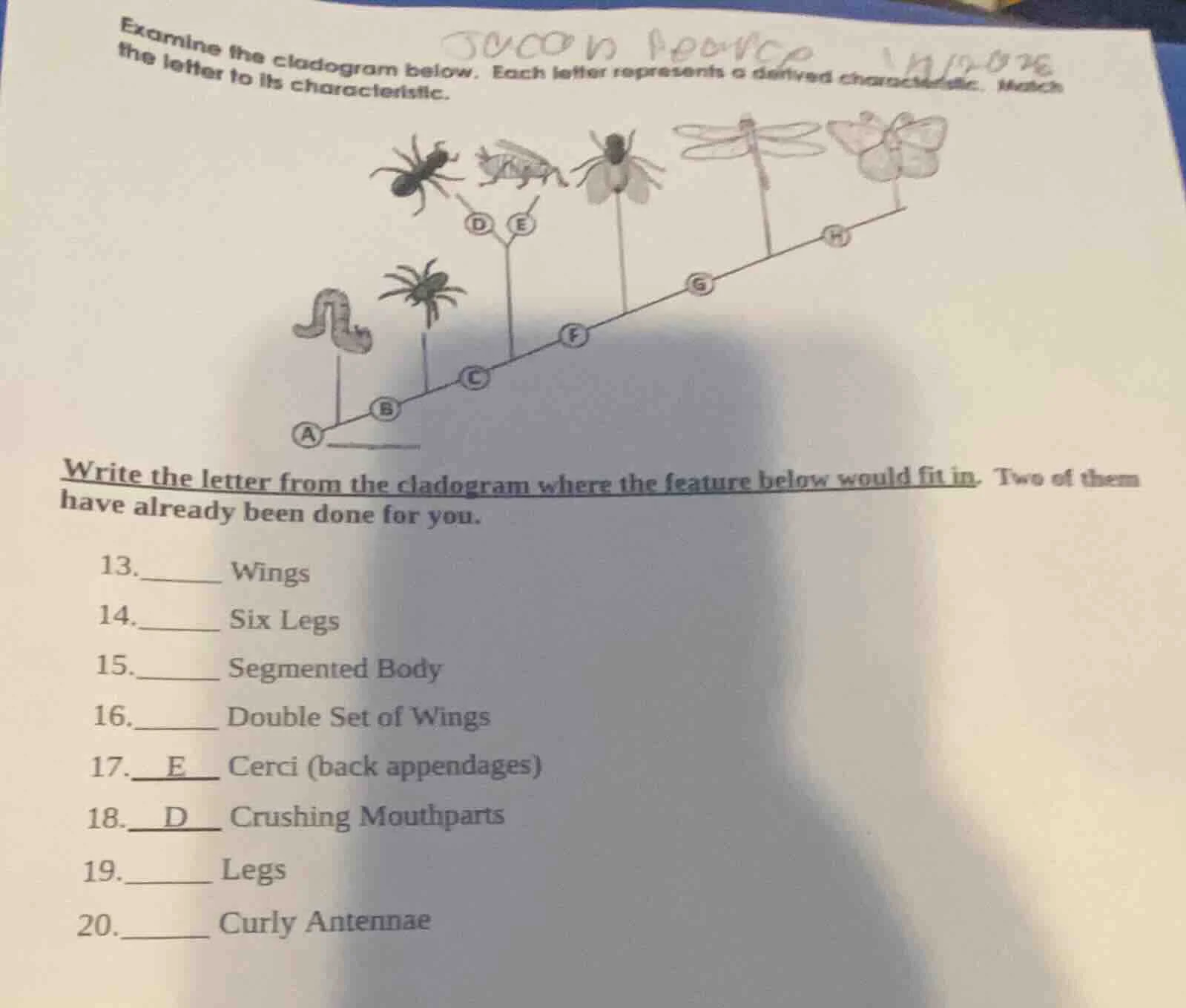 examine the cladogram below. each letter represents a derived character…
