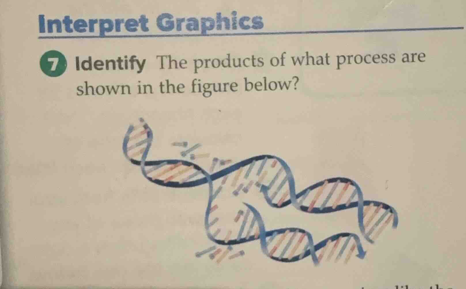 interpret graphics 7 identify the products of what process are shown in…
