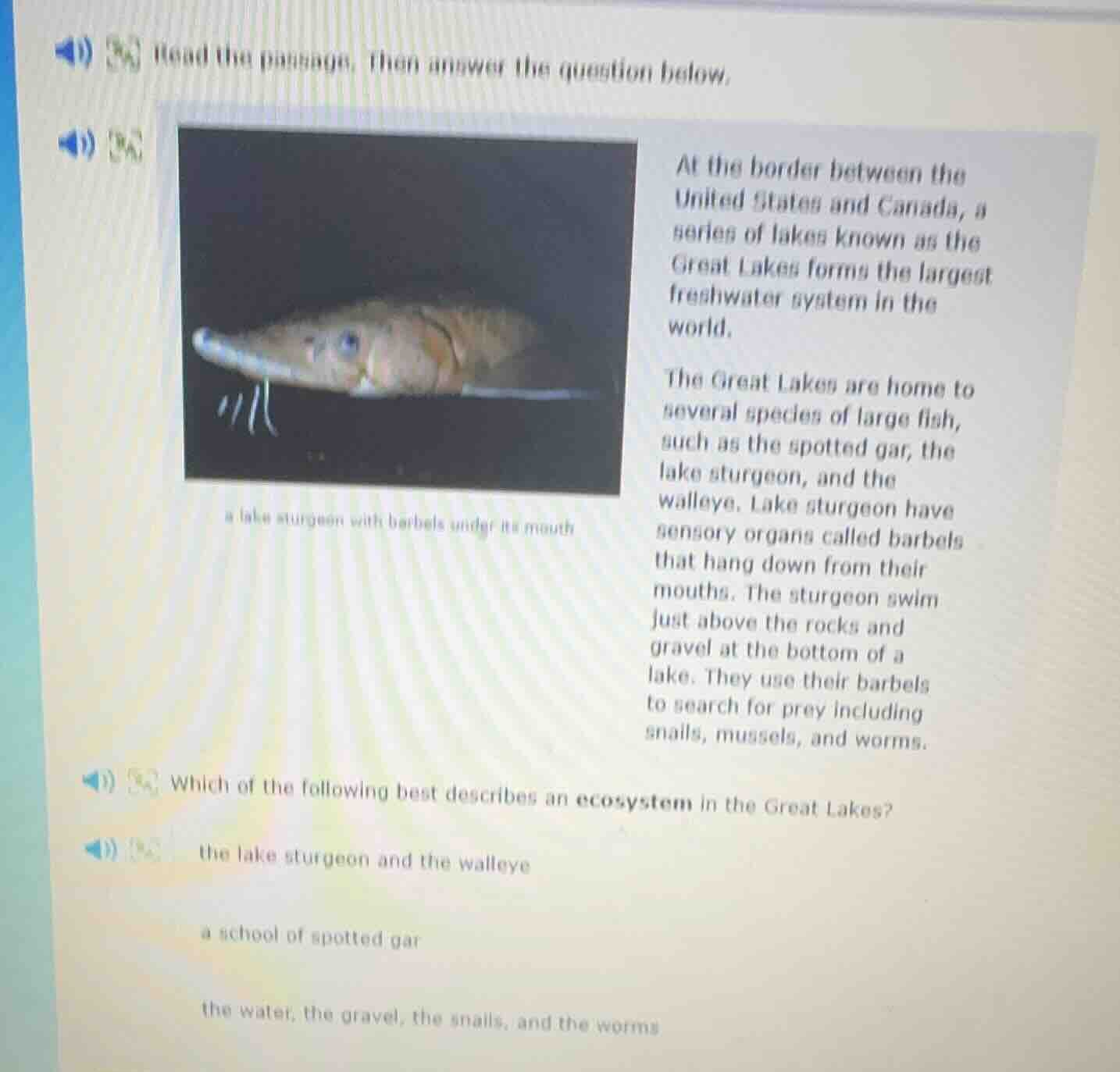 read the passage, then answer the question below. image: a lake sturgeo…