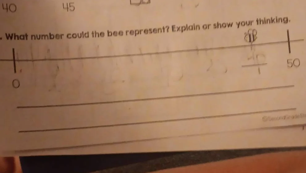 what number could the bee represent? explain or show your thinking. 0 50
