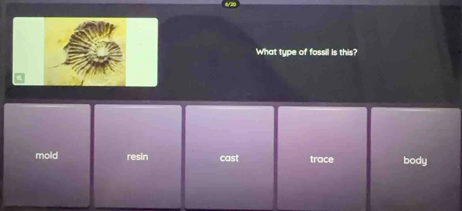 what type of fossil is this? mold resin cast trace body