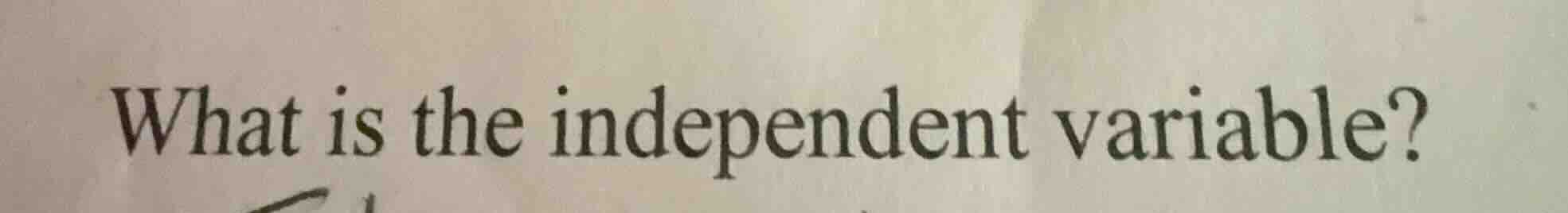 what is the independent variable?