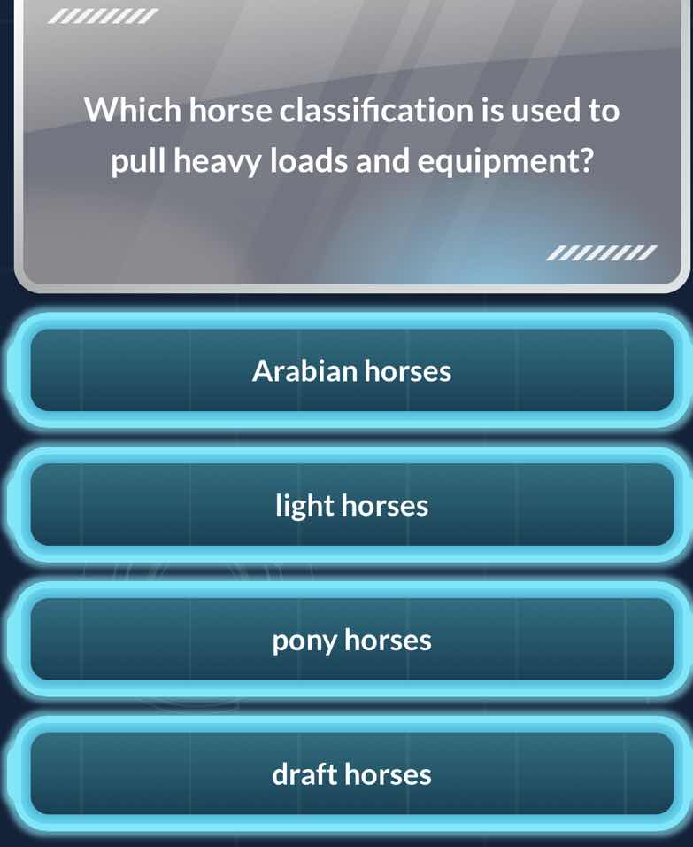 which horse classification is used to pull heavy loads and equipment? a…