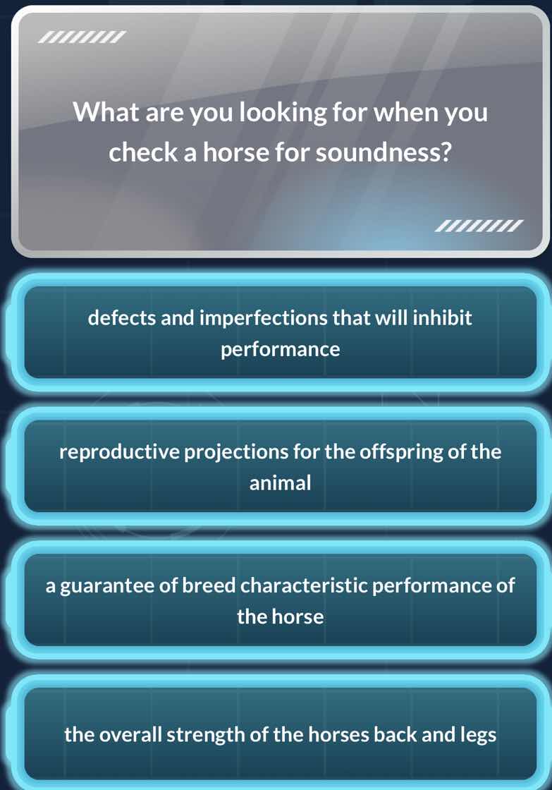 what are you looking for when you check a horse for soundness? defects …
