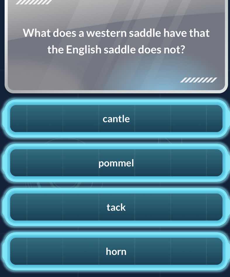 what does a western saddle have that the english saddle does not? cantl…