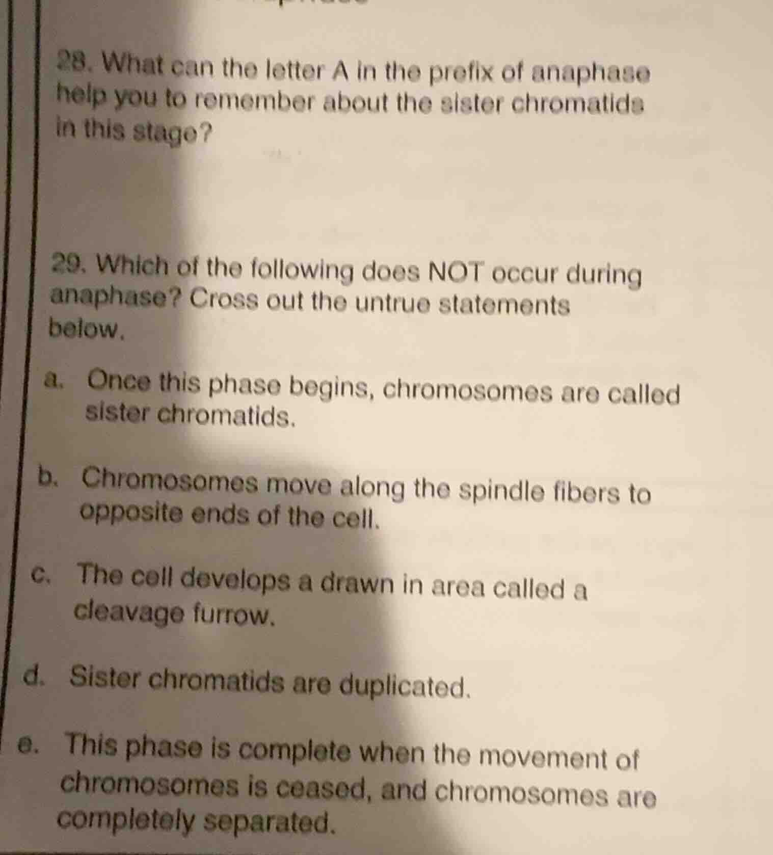 28. what can the letter a in the prefix of anaphase help you to remembe…