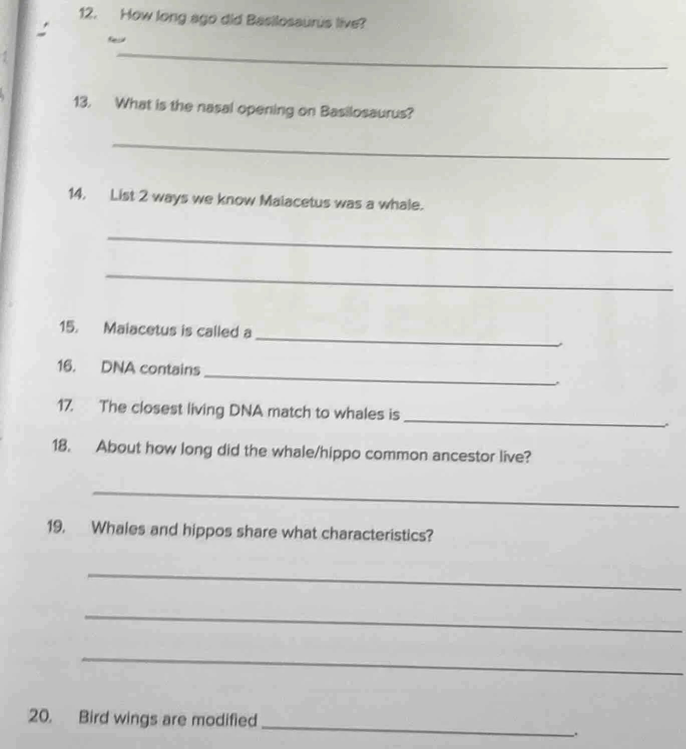 12. how long ago did basilosaurus live? 13. what is the nasal opening o…
