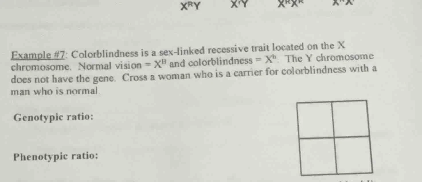 example #7: colorblindness is a sex - linked recessive trait located on…