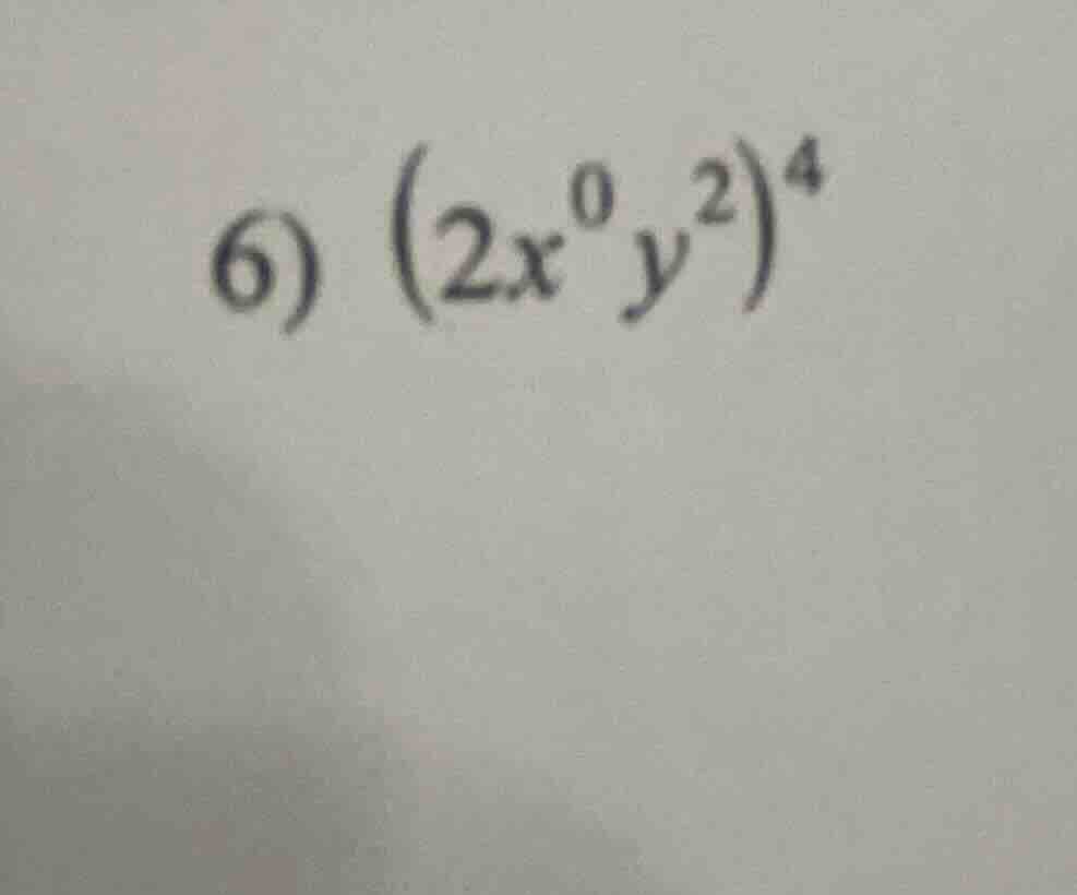 6) $(2x^{0}y^{2})^{4}$