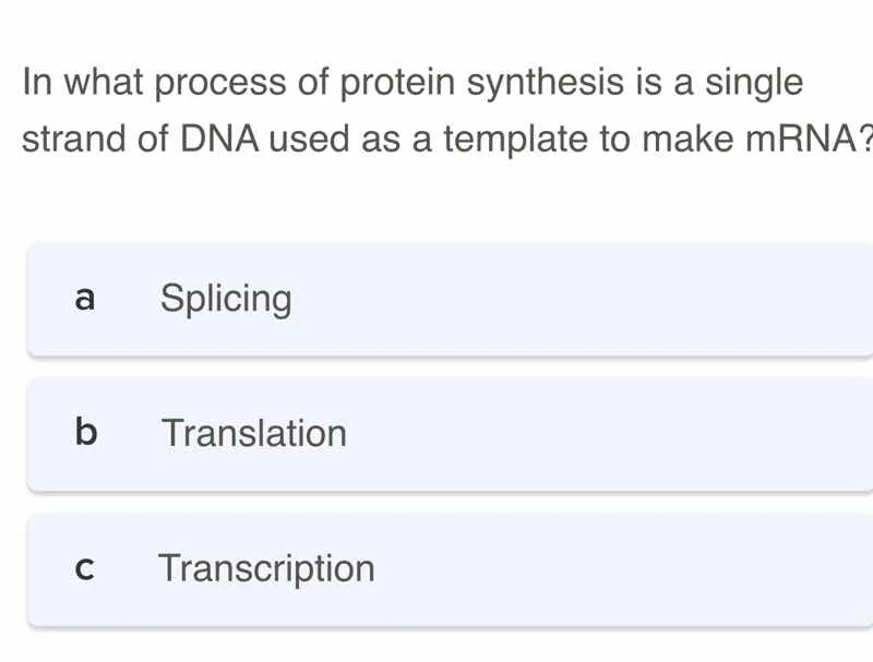 in what process of protein synthesis is a single strand of dna used as …