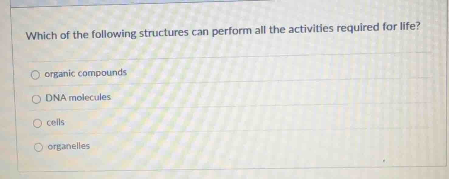 which of the following structures can perform all the activities requir…