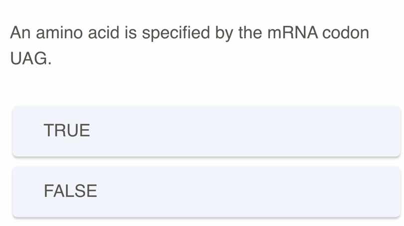 an amino acid is specified by the mrna codon uag. true false