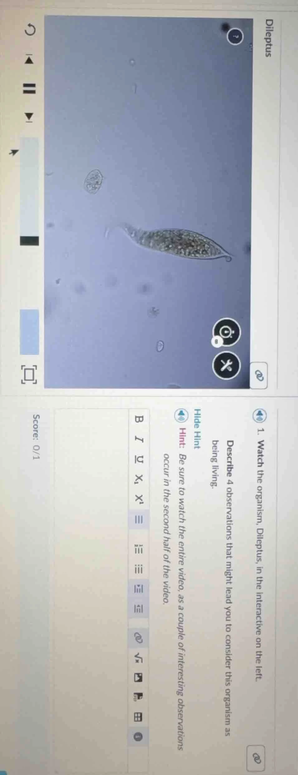 dileptus 1. watch the organism, dileptus, in the interactive on the lef…