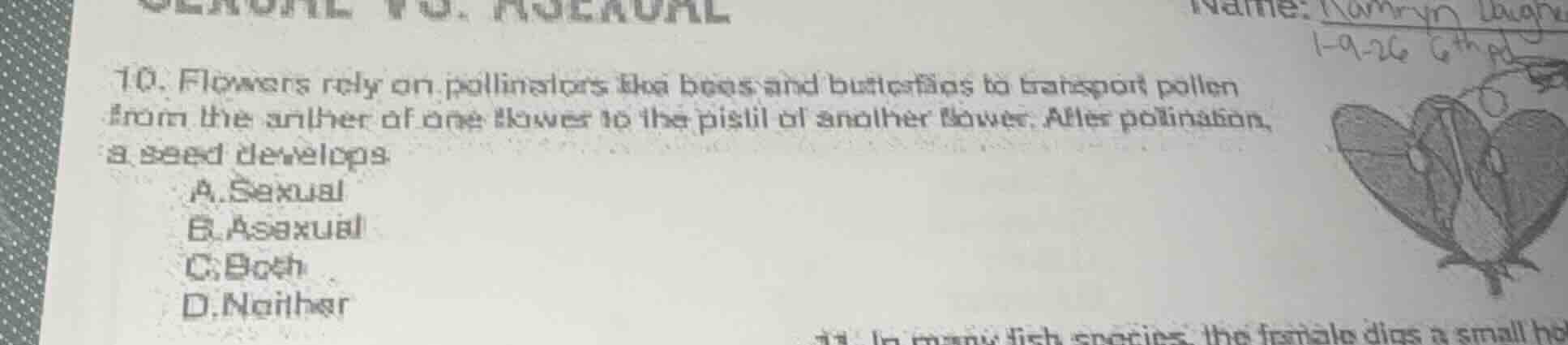 10. flowers rely on pollinators like bees and butterflies to transport …