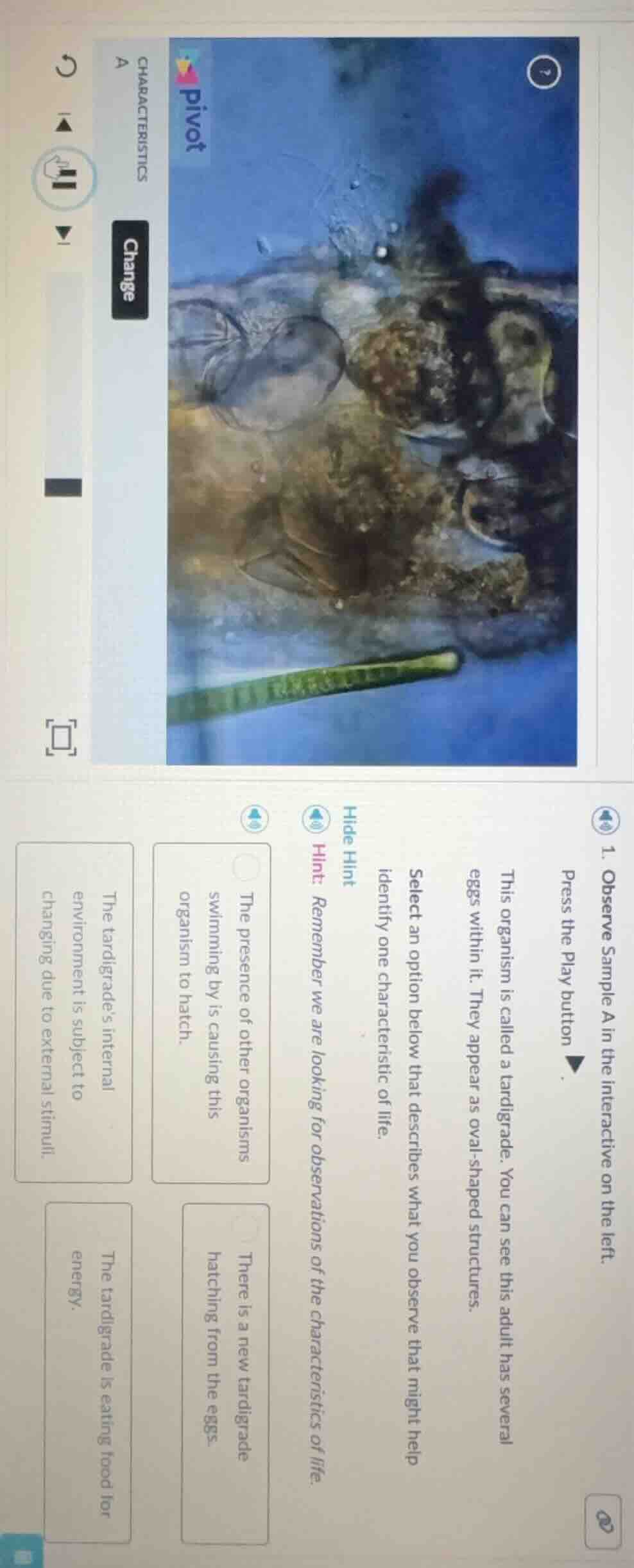1. observe sample a in the interactive on the left. press the play butt…
