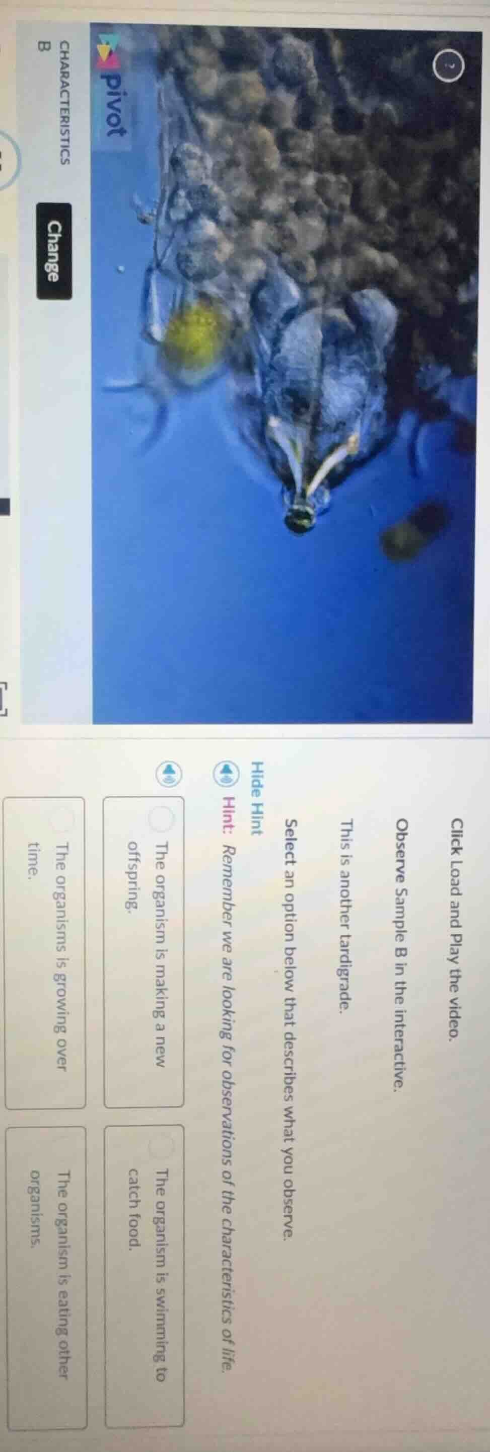 click load and play the video. observe sample b in the interactive. thi…