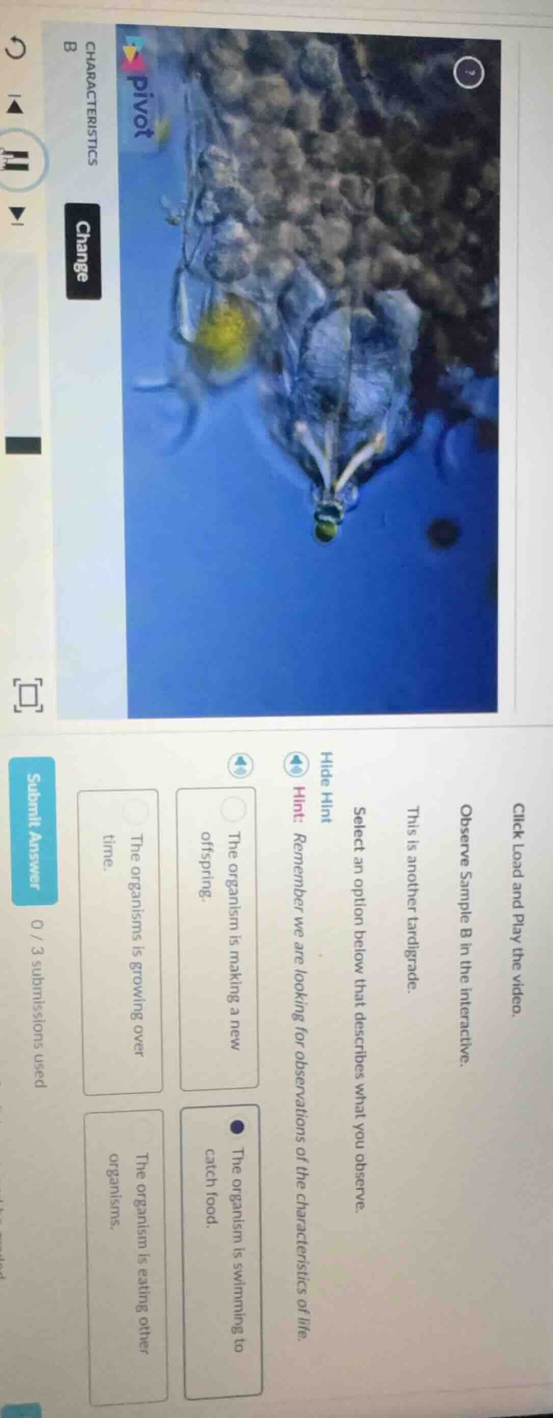 click load and play the video. observe sample b in the interactive. thi…