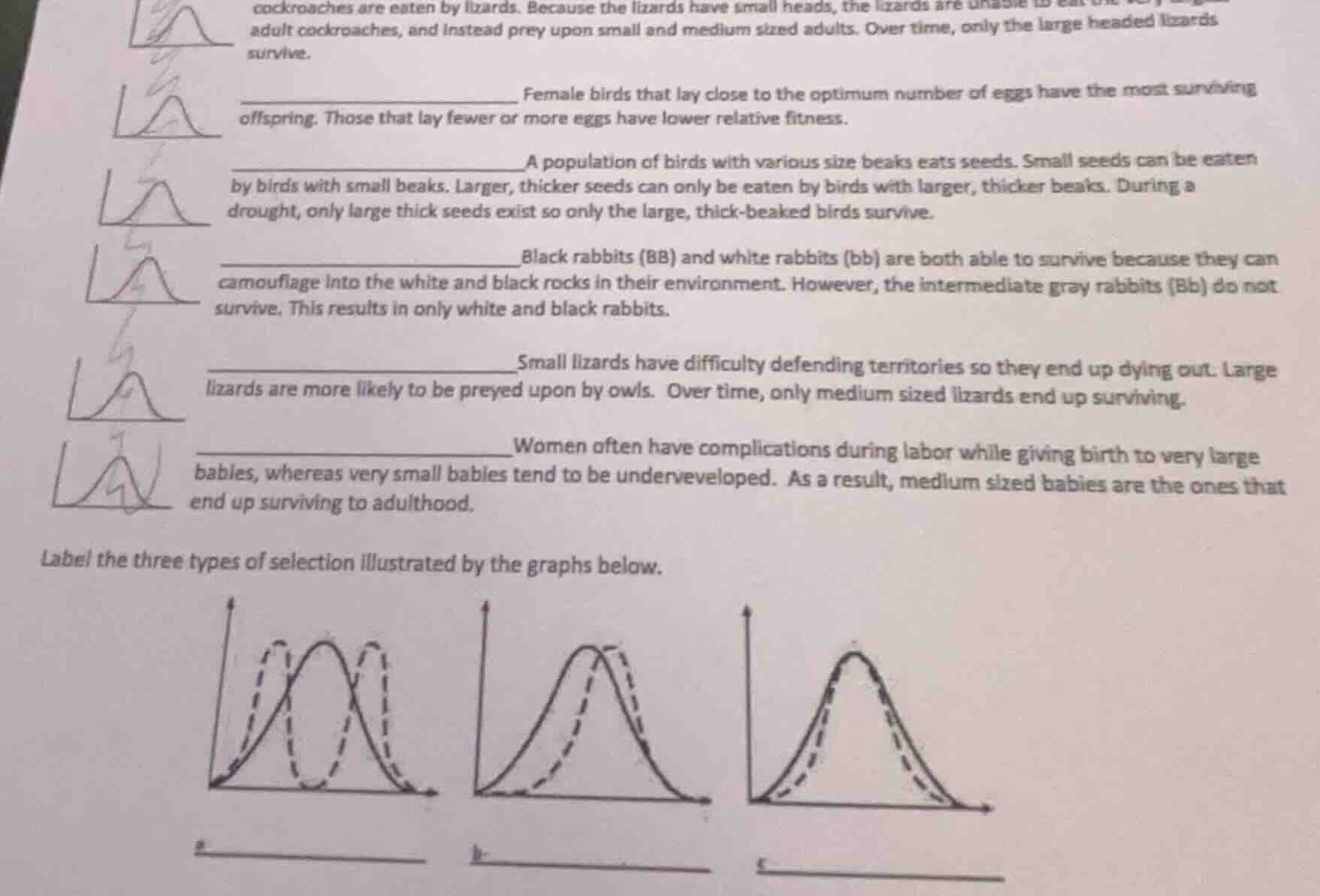 cockroaches are eaten by lizards. because the lizards have small heads,…