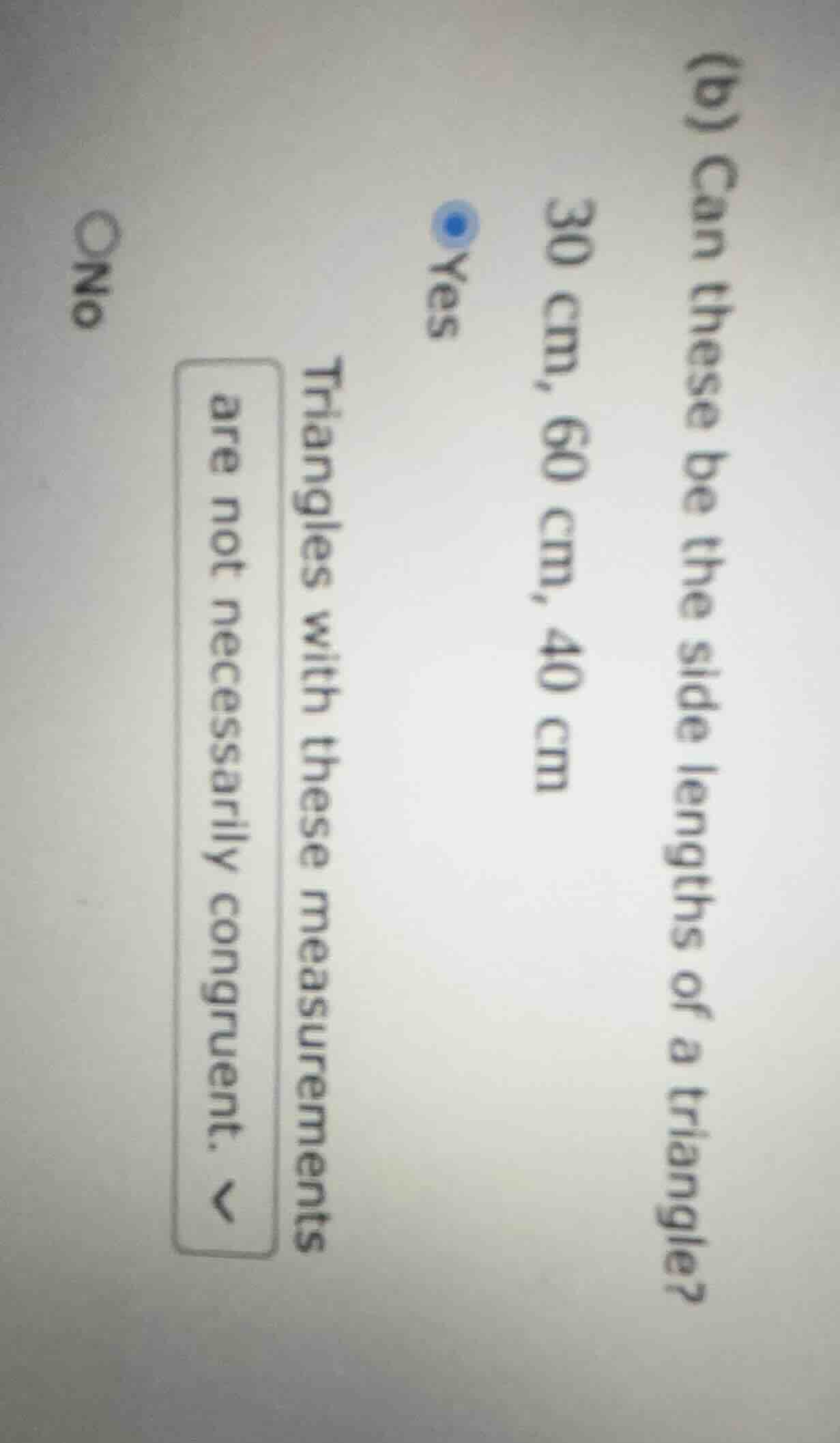 (b) can these be the side lengths of a triangle? 30 cm, 60 cm, 40 cm ye…