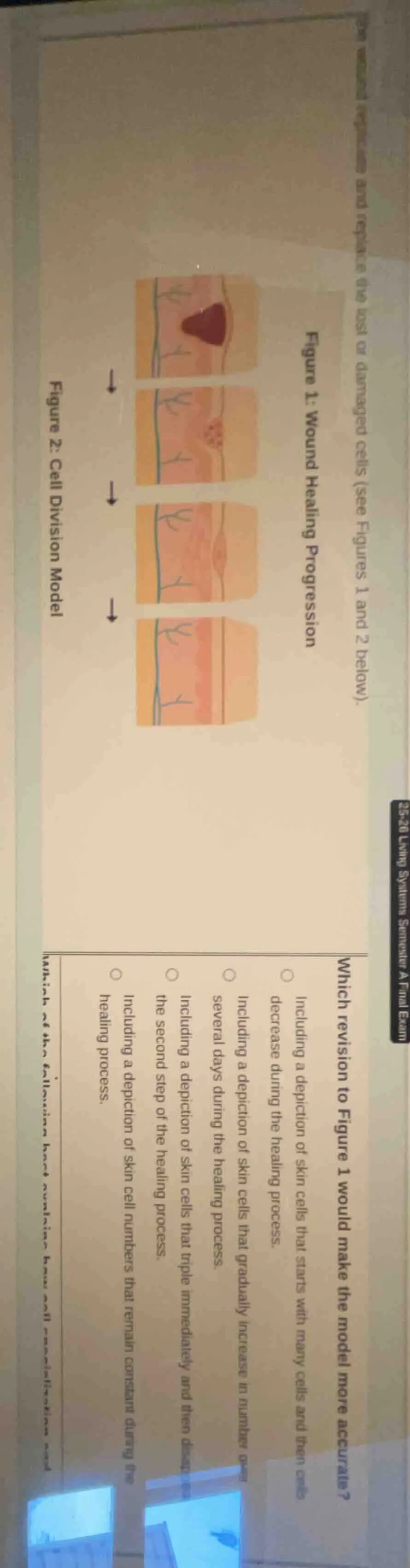 figure 1: wound healing progression figure 2: cell division model which…