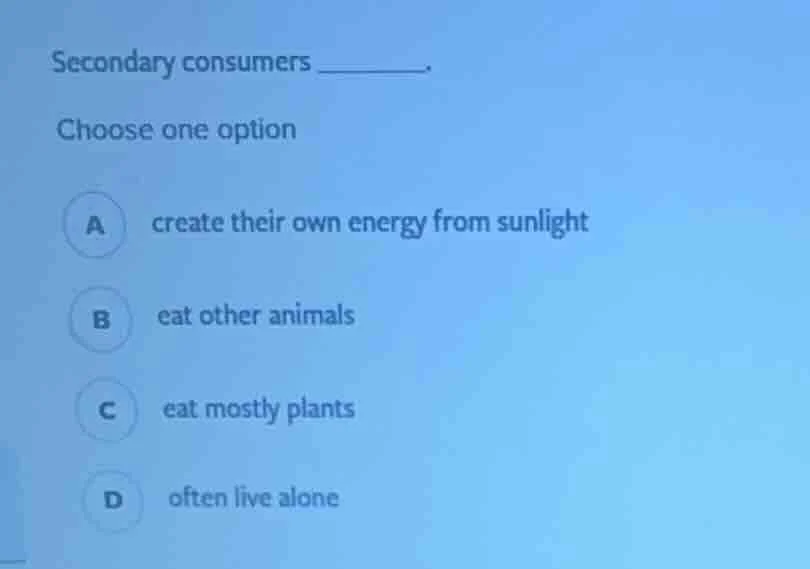 secondary consumers ______. choose one option a create their own energy…