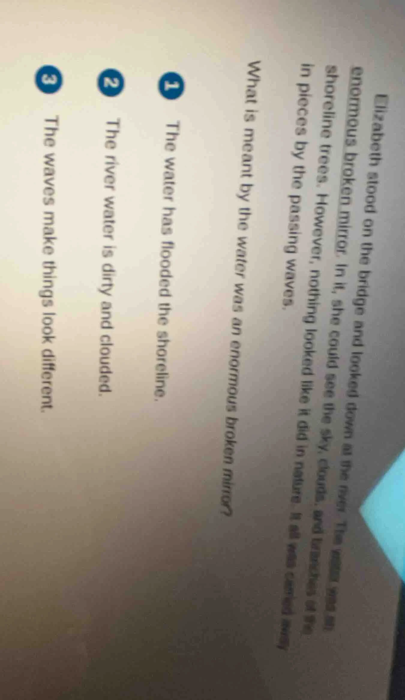 elizabeth stood on the bridge and looked down at the river. the water w…