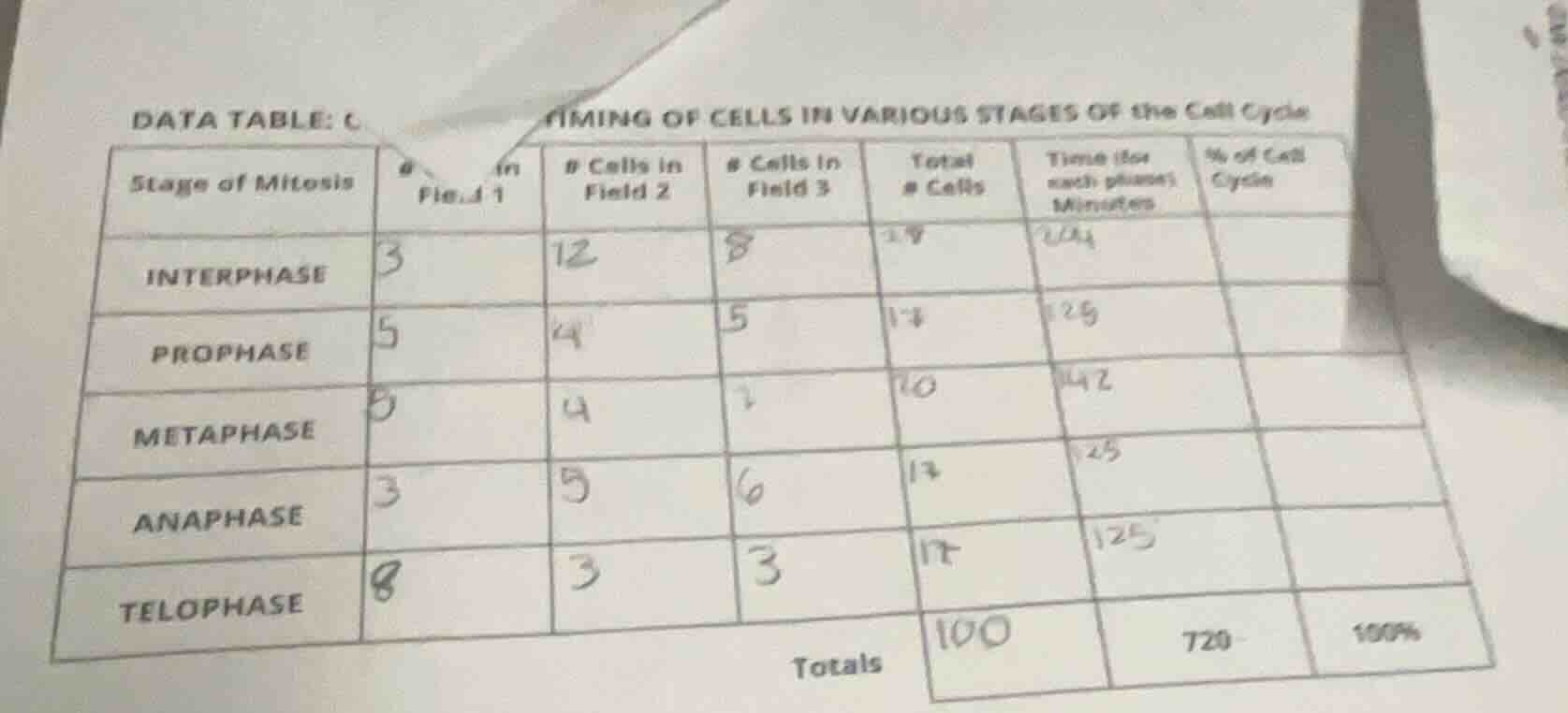 data table: timing of cells in various stages of the cell cycle stage o…