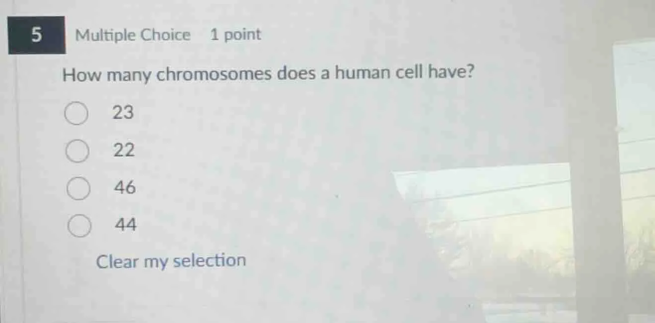 5 multiple choice 1 point how many chromosomes does a human cell have? …