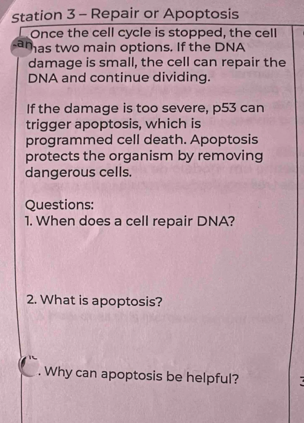 station 3 – repair or apoptosis once the cell cycle is stopped, the cel…