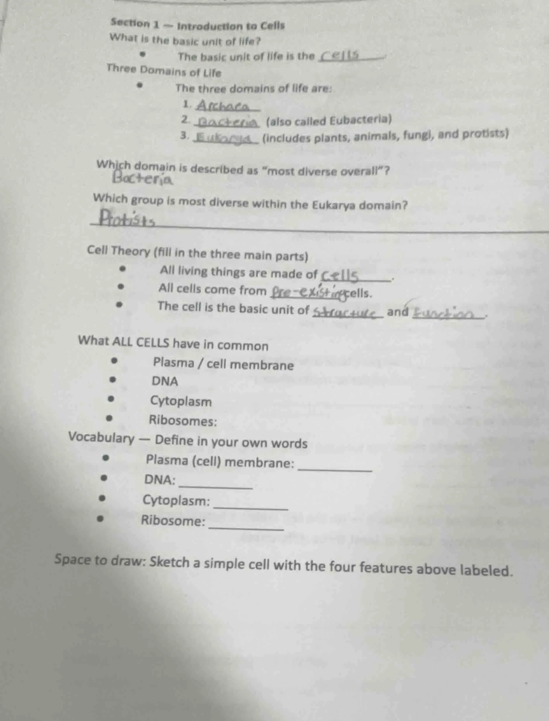 section 1 — introduction to cells what is the basic unit of life? - the…
